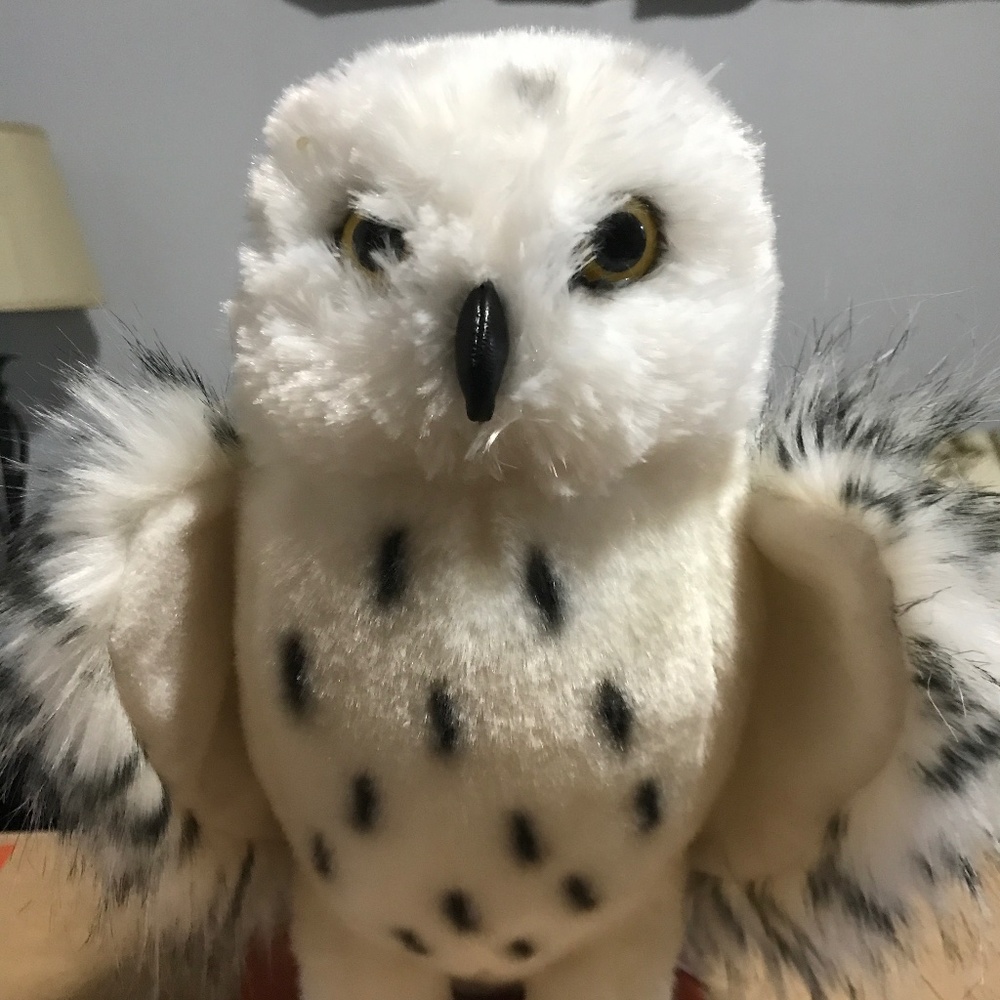 Snowy Owl stuffed animal and paper back owl book